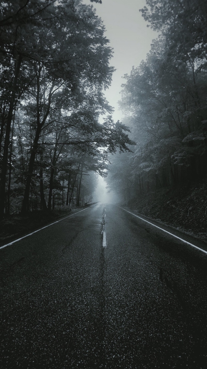 nature, real people, 1080P, asphalt, direction, land, full length, tranquility, riding, beauty in nature, sky, vertical, one person, outdoors, tree, road