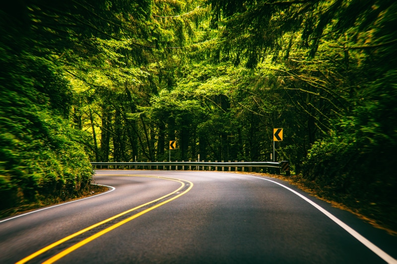 green, city, 5K, asphalt, United States of America, A Thousand Trees, forest, street, landscape, city road, Florence, surrounded, USA, transportation