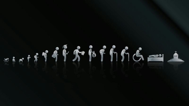 funny, life cycles, life cycle, life, 1080P, evolution