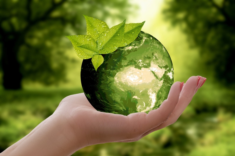 healthy lifestyle, recycling, environment, leaf, ecology, crystal, keep, protect, cycle, green color, composition, person, ball, hand, caution, outdoors