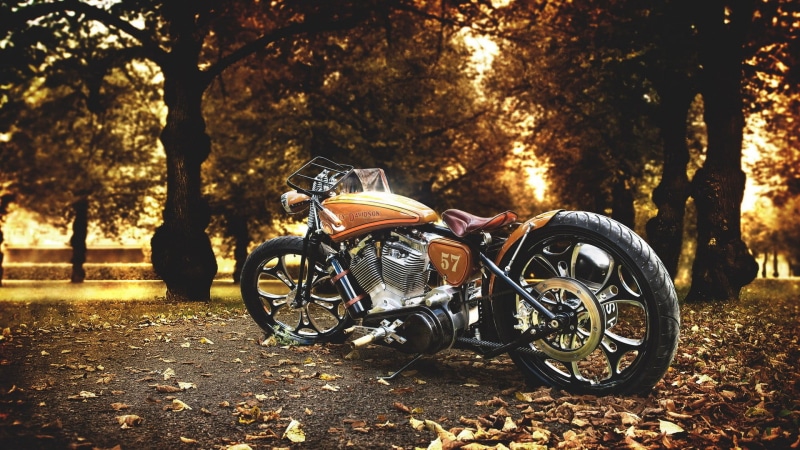 stationary, old-fashioned, change, no people, plant part, leaf, mode of Transport, day, motorcycle, nature, sunlight, riding, leaves, wheel, cycle, vehicle