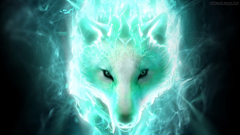 darkness, flames, phenomenon, cg artwork, 1080P, special effects, graphics, wolf