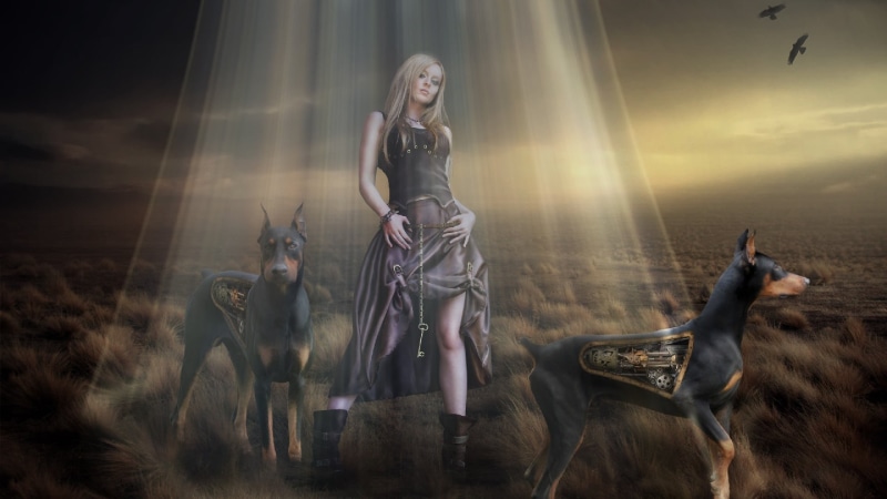 doberman, young adult, nature, fantasy, cg artwork, beautiful woman, steampunk, artwork, vertebrate, one person, one animal, darkness, woman, domestic animals