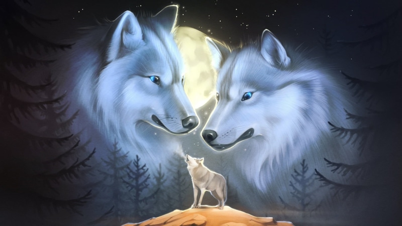 night, two animals, pets, feline, moon, mouth open, head, mammal, wolf, wolf howling, animal themes, no people, white color, face to face, domestic cat