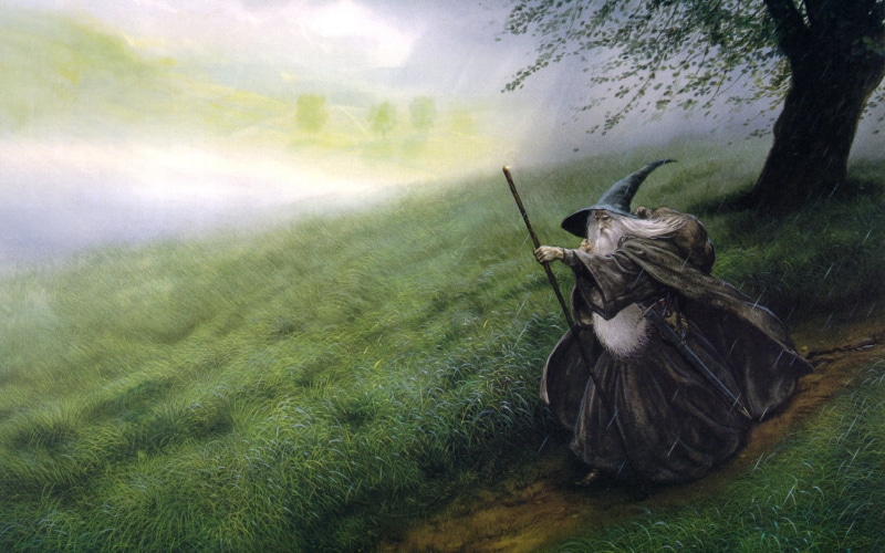 The Lord of the Rings, no people, outdoors, one Person, drawing, Gandalf, field, forest, one animal, rural Scene, plant, day, growth, horned, animal themes