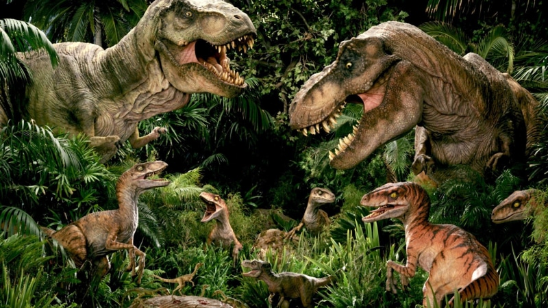 mammal, outdoors, group of animals, no people, mouth open, field, fighting, tree, day, Dinosaur, animal, animal themes, animal wildlife, aggression, herbivorous