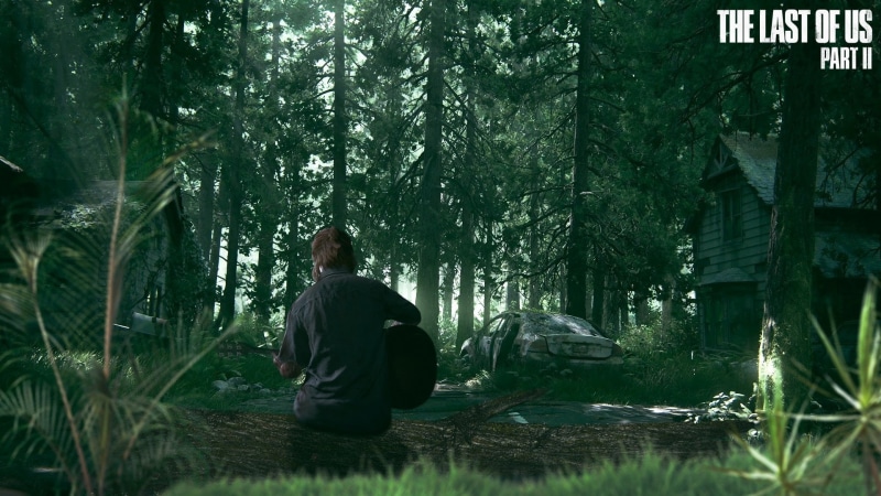 The Last of Us Part II, land, sitting, forest, hairstyle, adult, one person, outdoors, leisure activity, water, real people, green color, rear view, Video Game
