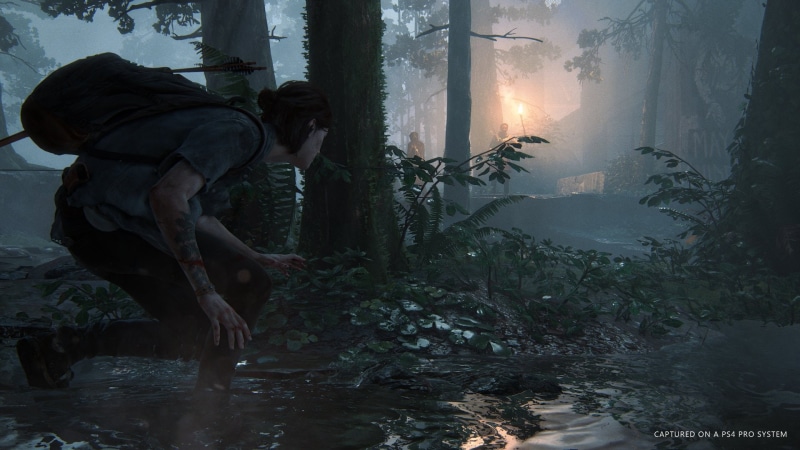 1080P, Ellie (The Last of Us), Video Game, The Last of Us Part II