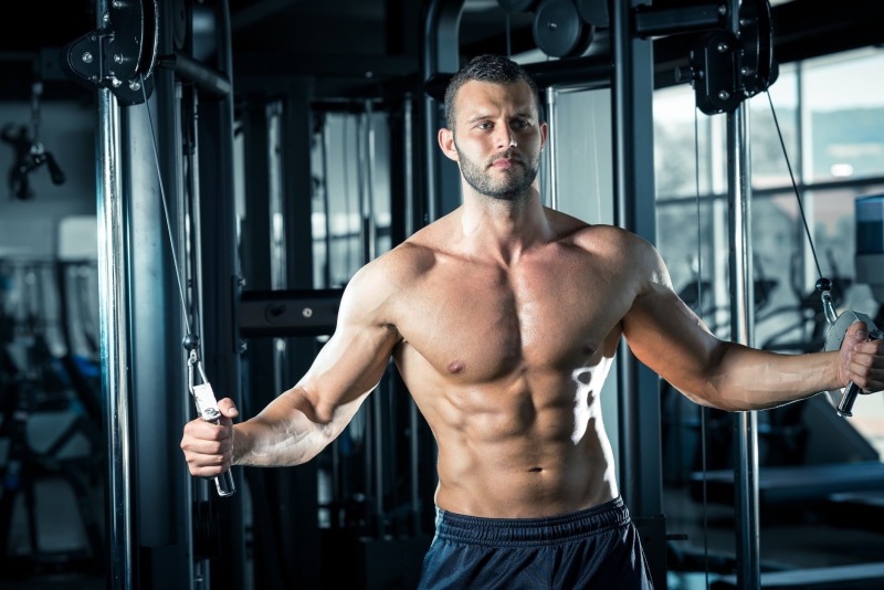 abs, training, 1080P, simulators, athlete, fitness, look, muscle, press, Gym, bodybuilder, pose