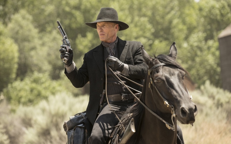 one Person, formal, animal wildlife, revolver, weapons, black, weapon, TV Series, males, mature men, hunter, hat, clothing, military, men, herbivorous