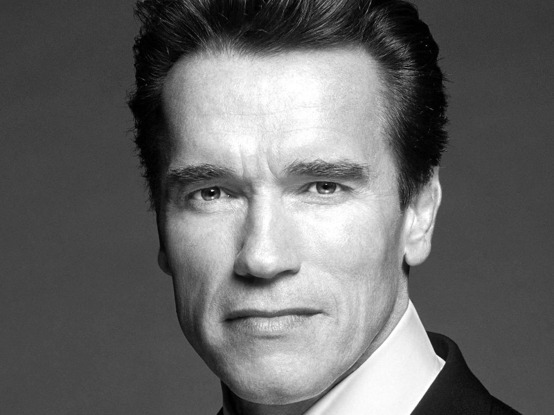 face, portrait, business, human Head, serious, young men, looking, manager, human Face, business Person, males, body part, caucasian Ethnicity, male Beauty