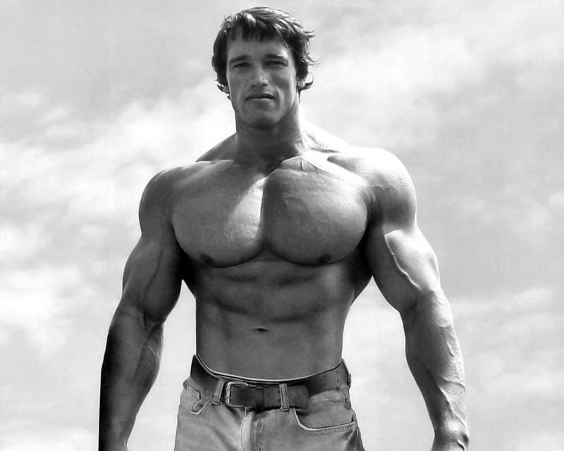 Bodybuilder, gyms, muscular, Arnold Schwarzenegger, 720P
