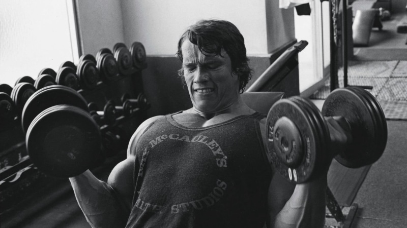 equipment, picking Up, heavy, one Person, real people, body Building, healthy Lifestyle, action, weight, sports Training, indoors, men, waist up, arnold schwarzenegger