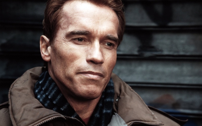 man, arnold, actor, 1080P, schwarzenegger, Arnold Schwarzenegger