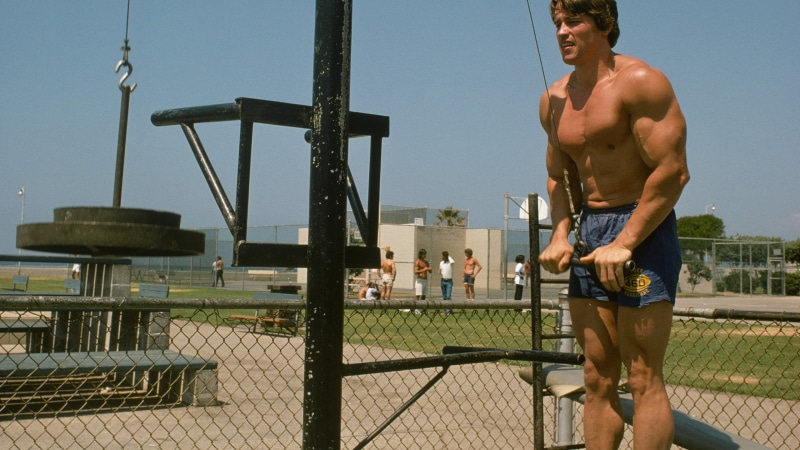 2K, celeb, workout, Arnold Schwarzenegger, arnold, young, actor, schwarzenegger