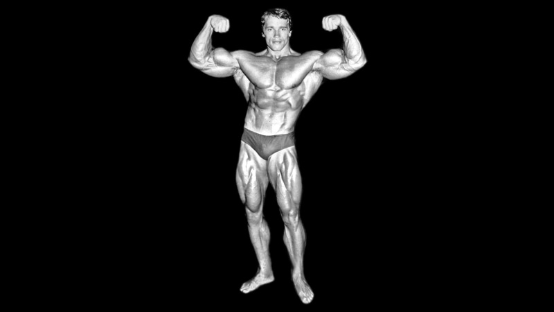 monochrome, Arnold Schwarzenegger, Bodybuilder, 2K