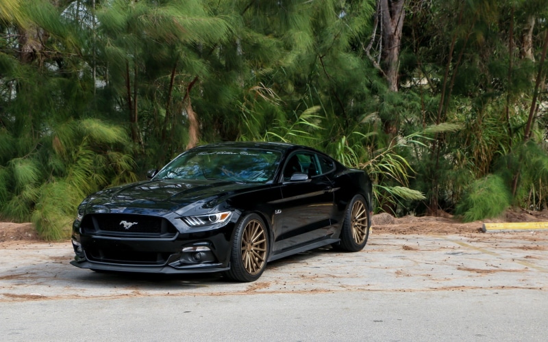 parking, motor vehicle, day, 1080P, car, travel, coupe, green color, mustang, no people, land vehicle, growth, tree, outdoors, black color, Ford Mustang