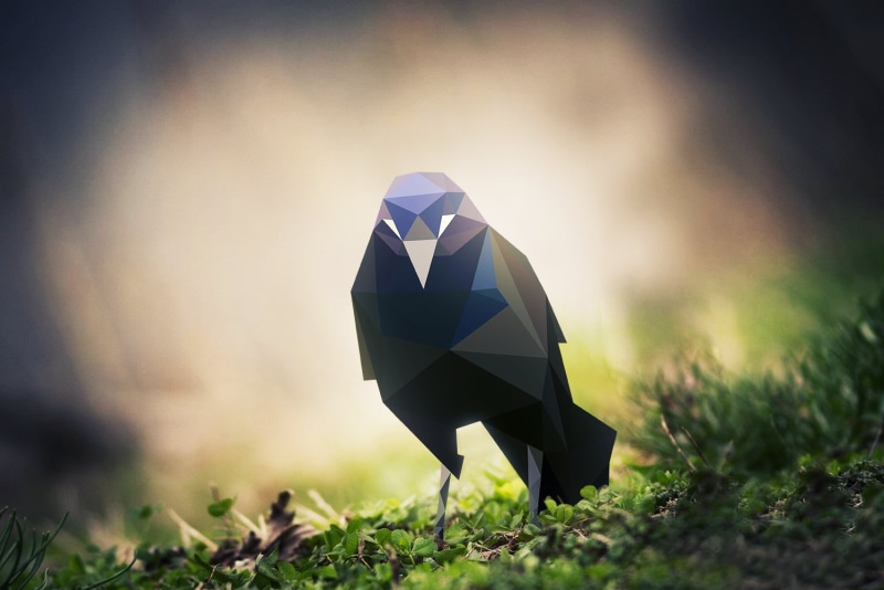 no people, paper, origami, close-up, nature, depth of field, bird, focus on foreground, low poly, black, crow, outdoors, grass, still life, 720P, birds