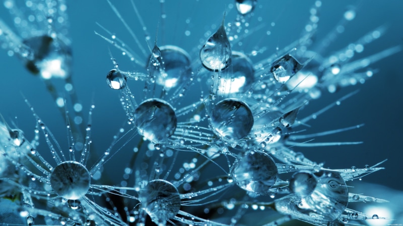 cold temperature, CGI, ice, drop, blue background, transparency, wet, crystal, water drops, 4K, frozen, snow, nature, closeup, snowflake, outdoors, 3D