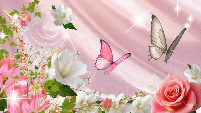 abundance, glow, flowers, roses, 1080P, stars, summer, pink silk, vine, spring, 3d and abstract, butterflies