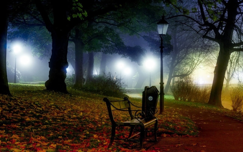 framed, field, seat, land, paper, plant, fog, Canada, path, outdoors, trunk, night, landscape, shrubs, wall, 720P, brown, metal, tranquil scene, nature