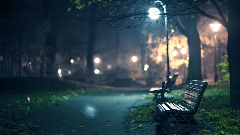 illuminated, brown, focus on foreground, wooden, tranquility, empty, park bench, fog, park, park - man made space, plant, bench, no people, absence, tree