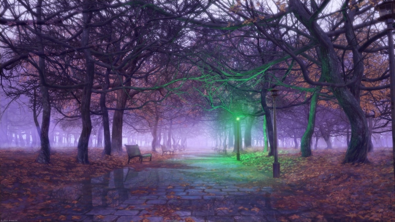 night, mist, change, street, fall, brown, sunbeam, nature, sunlight, scenics - nature, dark, backgrounds, trunk, 1080P, outdoors, bench, leaf, scenics