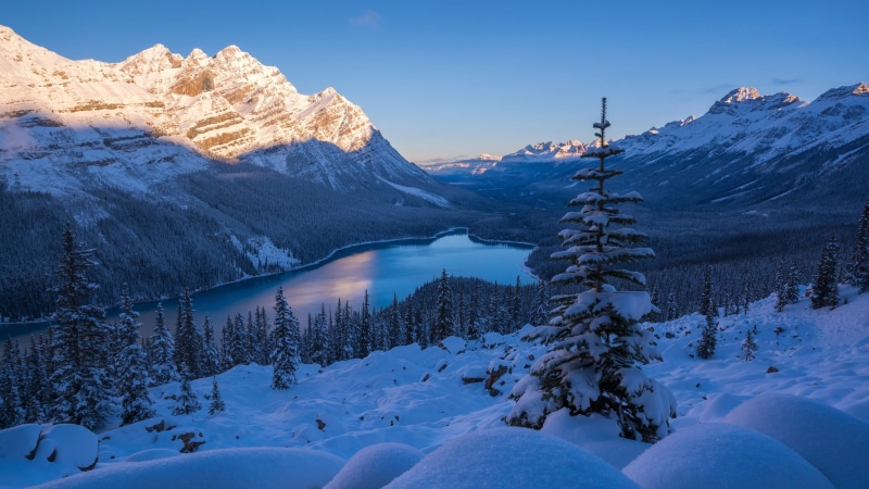 alberta, sky, mountain, national park, tree, snow, plant, land, wilderness, peyto lake, cold temperature, canada, extreme weather, banff national park