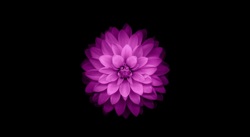 apple ios, ios, computer, 1080P, Apple, Black, Computers, Flower, Mac