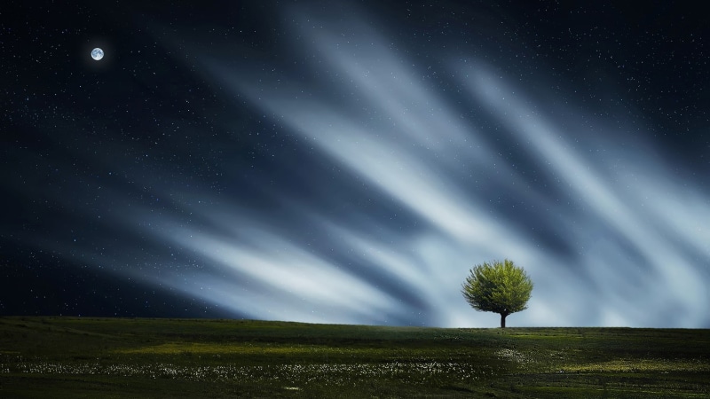 lonely tree, starry night, tree, moon, 1080P, polar lights, full moon, darkness, field, lone tree, night sky, nigh