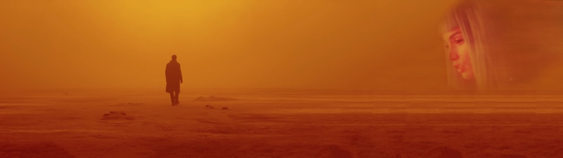 one person, orange color, man, Blade Runner, standing, digital, Blade Runner 2049, full length, leisure activity, silhouette, dual display, sport