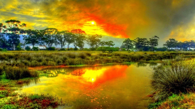 morning, clouds, tranquil, coast, cloud - sky, summer, outdoor, star, sunset, 1080P, grass, silhouette, water, tranquility, peaceful, celestial body, scenics - nature