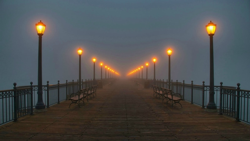 plant, bridge, in a row, railing, water, sky, silhouette, horizon, morning, orange, beach, footpath, architecture, celestial body, outdoor, bridge - man made structure