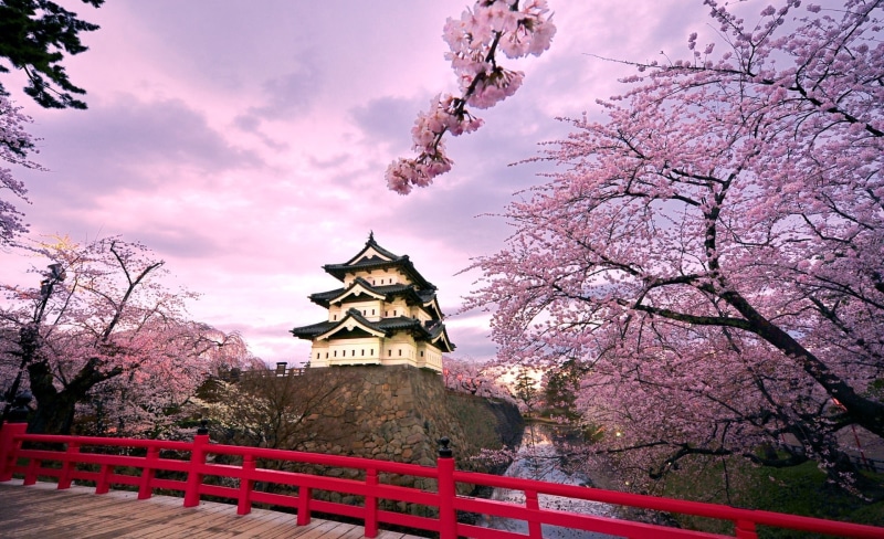 Travel, branch, Spring, Season, place of worship, black, white, Blossom, pink color, nature, freshness, Trees, architecture, Castle, sky, pink flowers