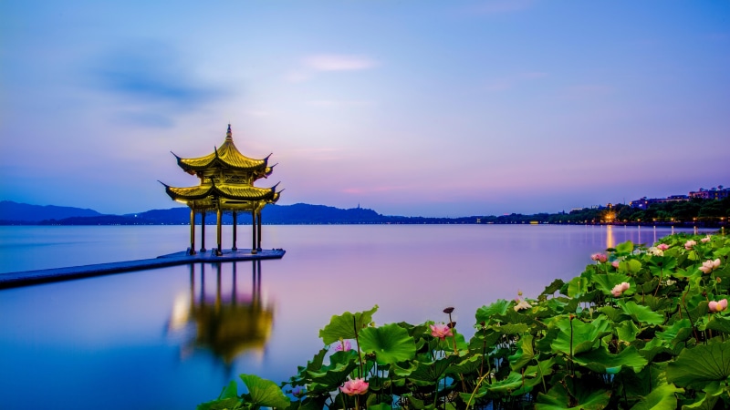 5k, 5K, flower, xihu, calm, blue hour, reflection, pagoda, lotus flower, tourist attraction, hangzhou, tree, water, plant, lake, 5k uhd, zhejiang, asia