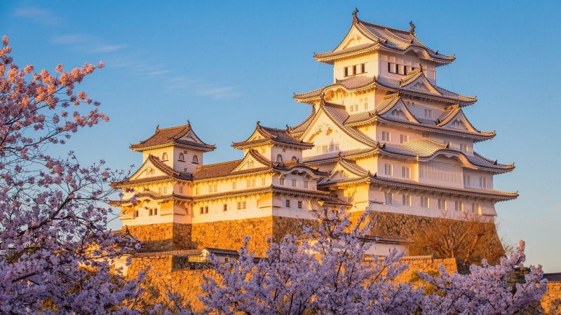 tourist attraction, landmark, historical, blossom, himeji castle, cherry blossom, japanese architecture, japan, palace, himeji, sky, castle, pagoda, spring