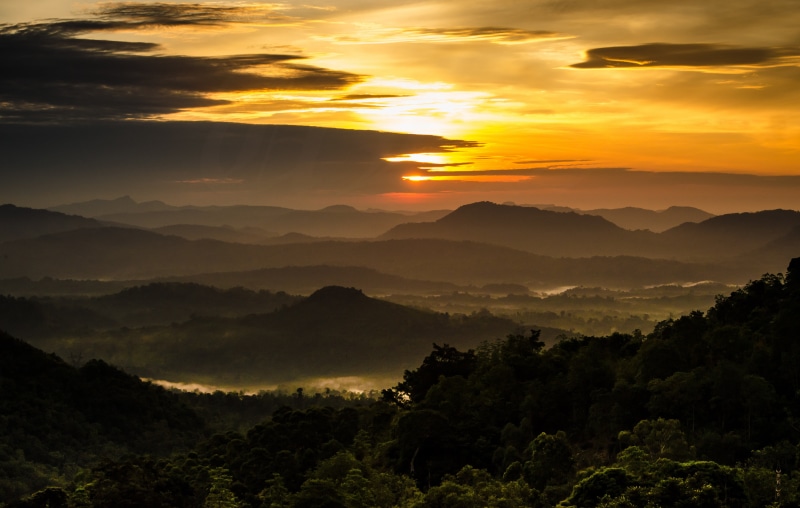 dark, travel, forest, mountain, srilanka, asia, fog, sunrise - Dawn, mountain Peak, clouds, badulla, dawn, sri, scenics, outdoors, dusk, mountains, summer
