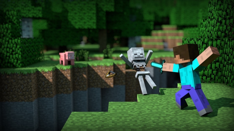 Video Game, Skeleton, Mojang, Steve (Minecraft), Minecraft, 1080P