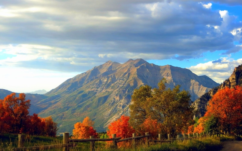 laptop backgrounds nature images 1920x1200, 1080P