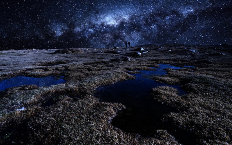 scenics - nature, night, environment, beach, plant, beauty in nature, no people, water, nature, land, sea, 1080P, tranquil scene, tranquility, space, sky