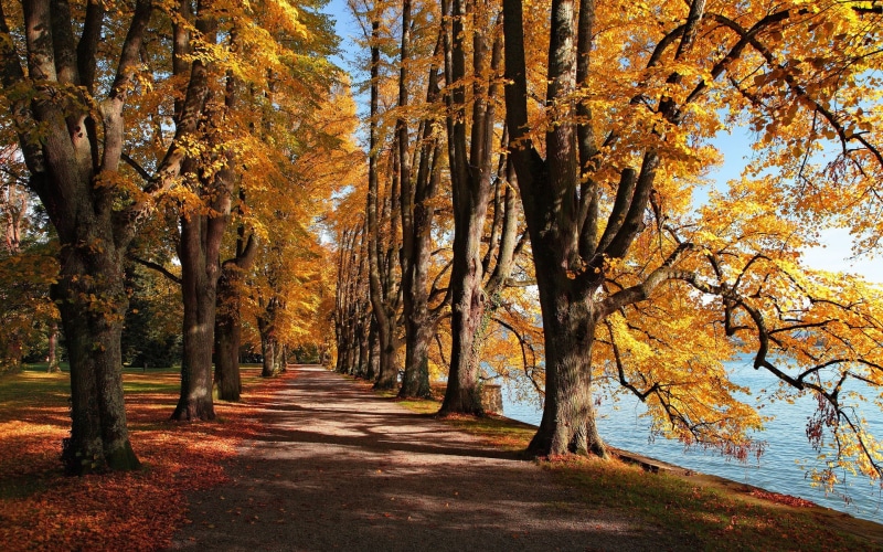 1080P, laptop backgrounds nature images 1920x1200
