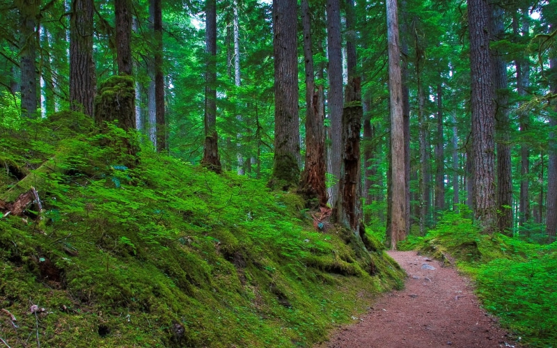 computer  desktop background hd nature images 1920x1200, 1080P