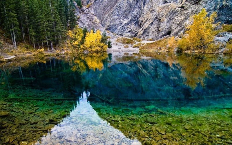 forest, 1080P, scenics - nature, green color, no people, reflection, mountain, day, laptop backgrounds nature images 1920x1200, tree, autumn, plant, tranquility