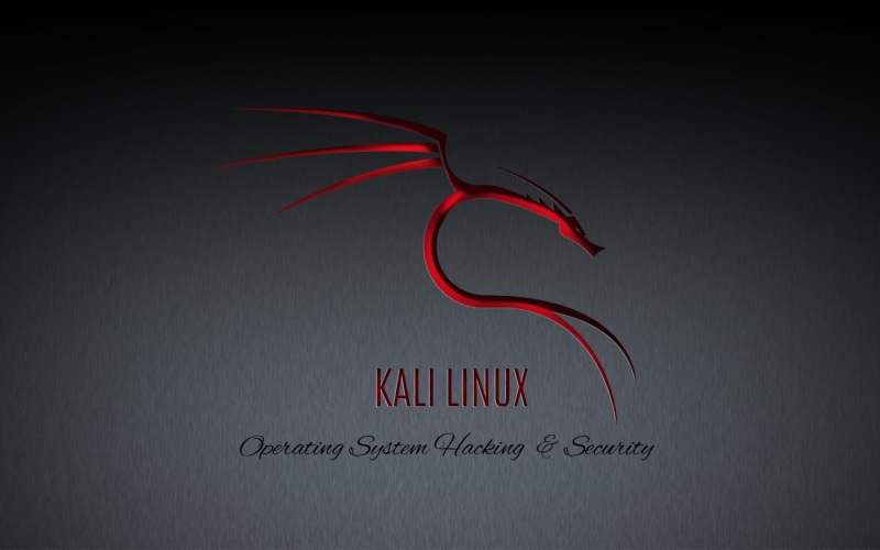 copy space, studio shot, Linux, GNU, business, gray background, handwriting, indoors, no people, Kali Linux NetHunter, western script, text, gray, communication