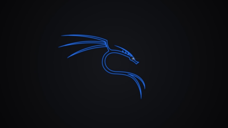 Lenovo, thesmartsoldier, neon, Kali Linux NetHunter, Kali Linux, chrome, Maleficent, Linux, Unix, dark, 4K