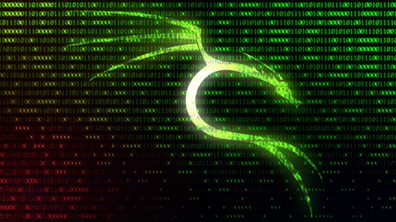 cyberspace, black background, communication, data, internet, studio shot, computer monitor, nature, technology, computer hacker, green color, binary code