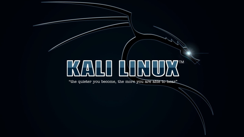 single object, no people, technology, Kali Linux NetHunter, Kali Linux, western script, communication, cut out, information, sign, weapon, black color