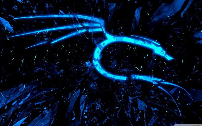 Linux, glass, Kali Linux NetHunter, Kali Linux, dragon, hacking, tech, blue, 2K, black