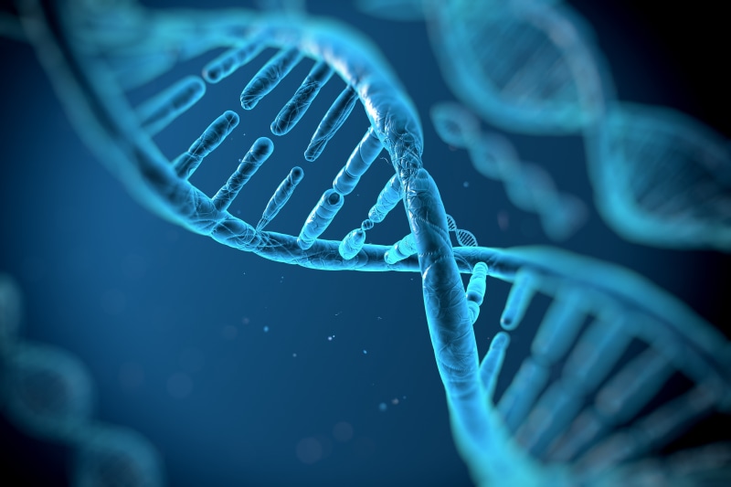 psychedelic, structure, pattern, 3 d, 5K, strand, genetic, illustration, dna, molecule, abstraction