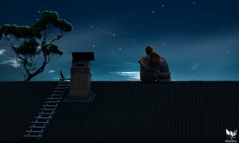 women, nature, sky, illustration, couple, rooftops, nighttime, night, architecture, men, house, space, leisure activity, tree, low angle view, sitting
